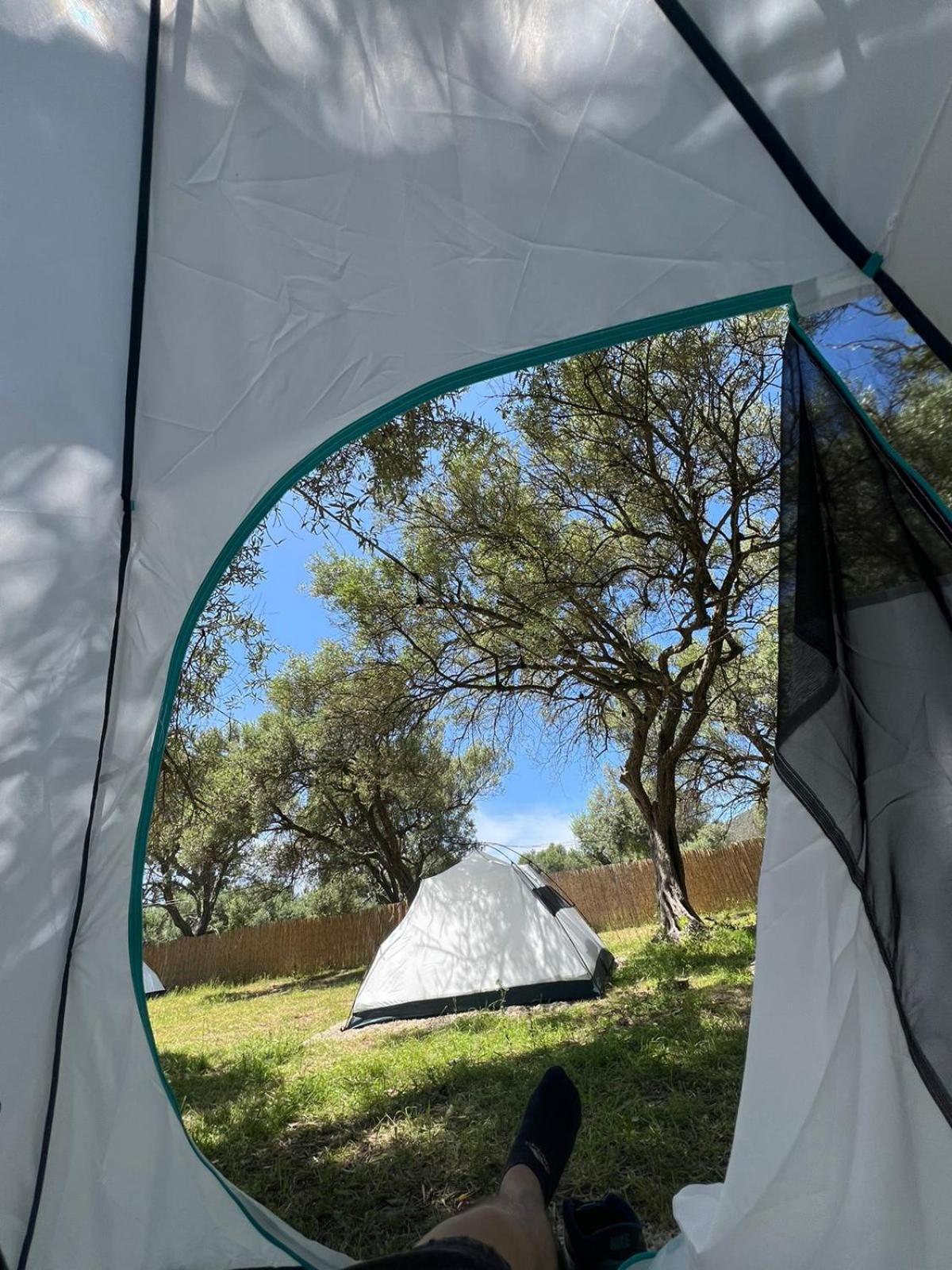 Borsh Olive Camping Hotel Exterior photo